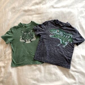 Set of 2 Hanna Andersson Tops 3T